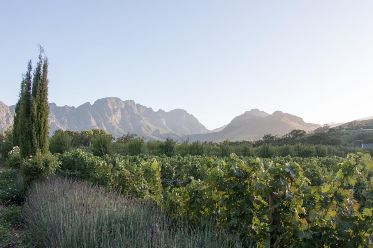 La Cle Lodge Franschhoek Exterior foto